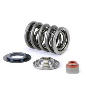 Skunk2 Alpha Dual Valve Springs And Titanium Retainers